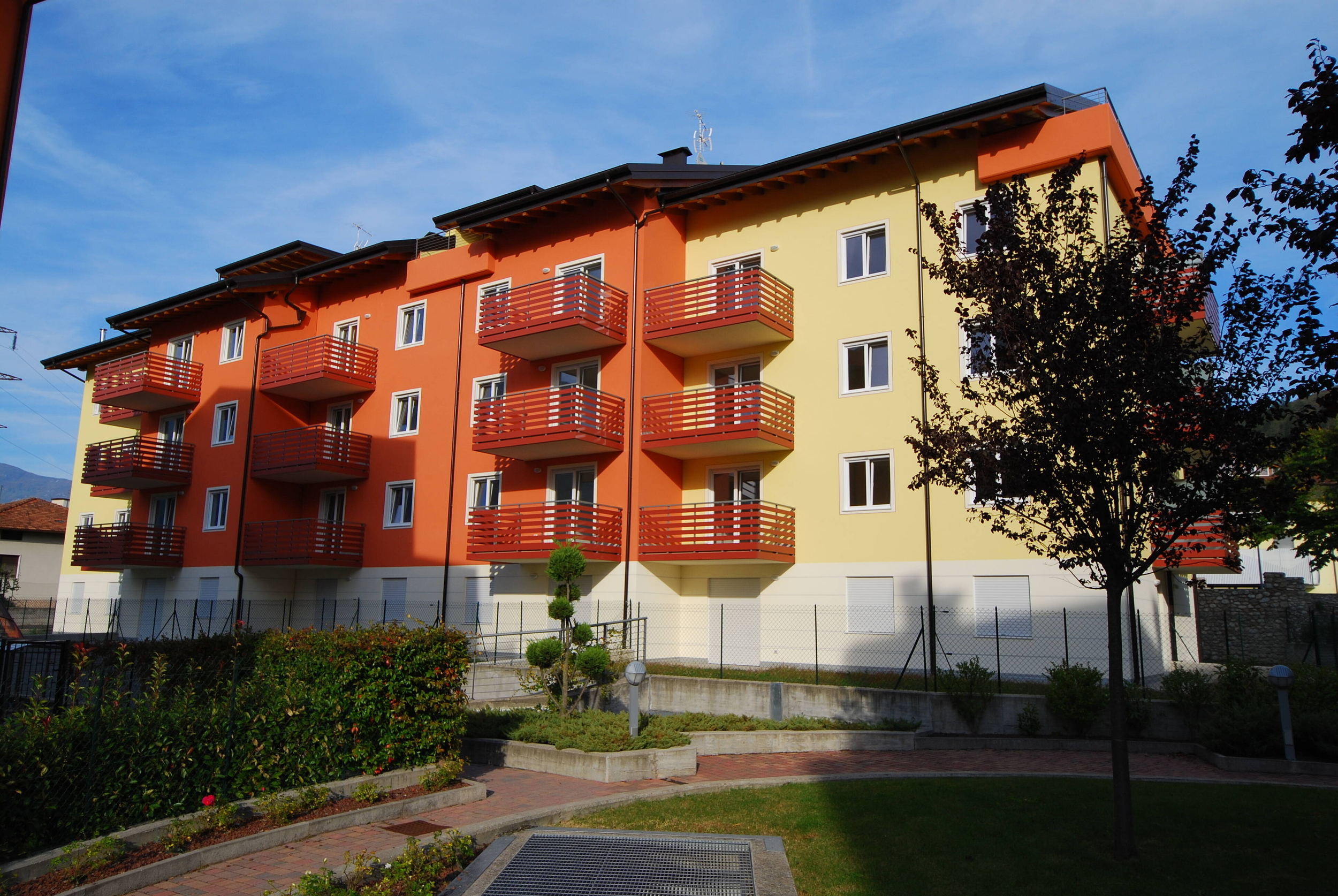 Immagine: abetone 3