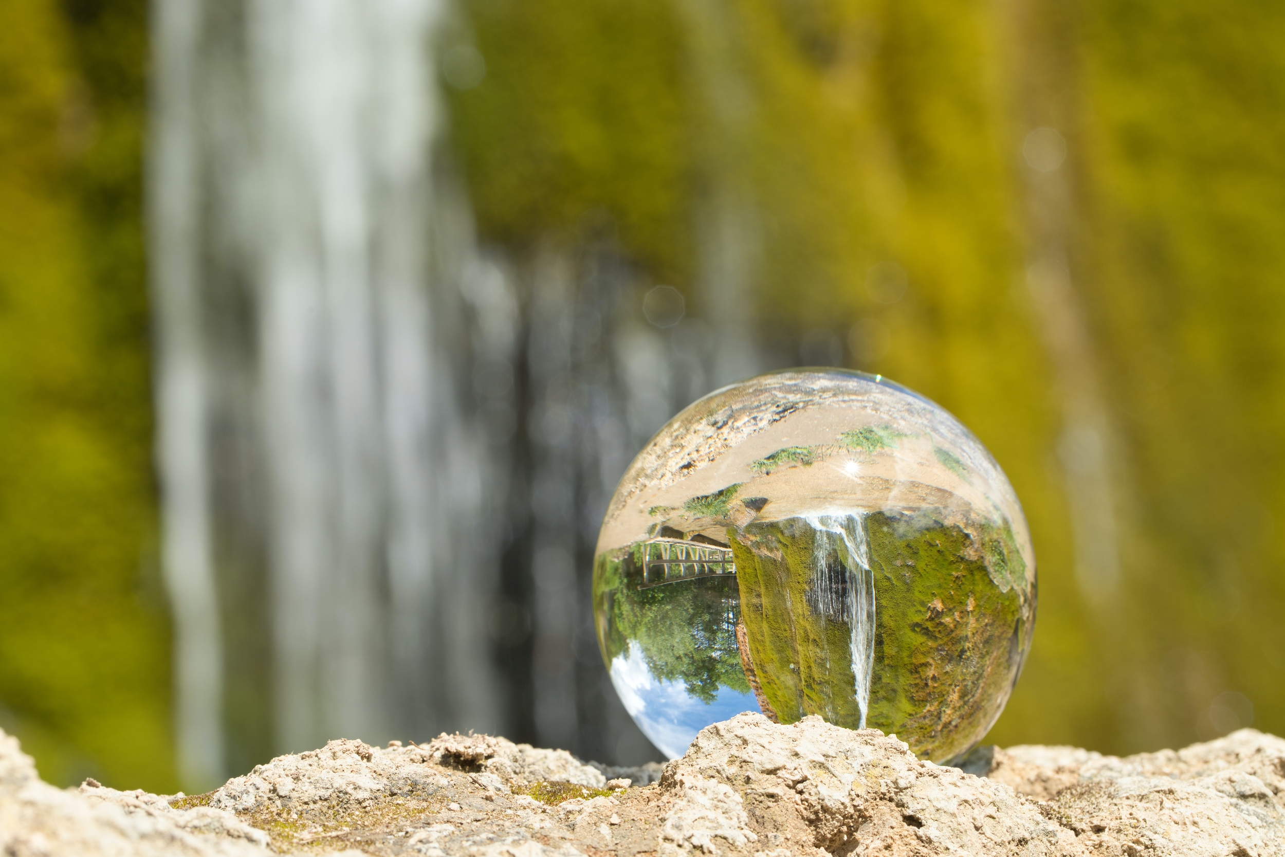Immagine: Ambiente