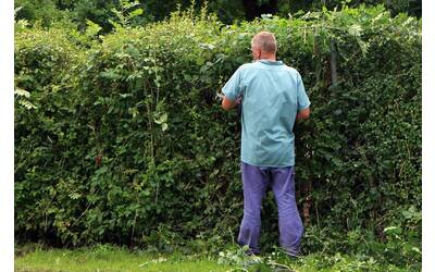 Immagine: antranias-landscaper-409148_1280