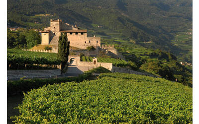 Immagine: Castel Noarna