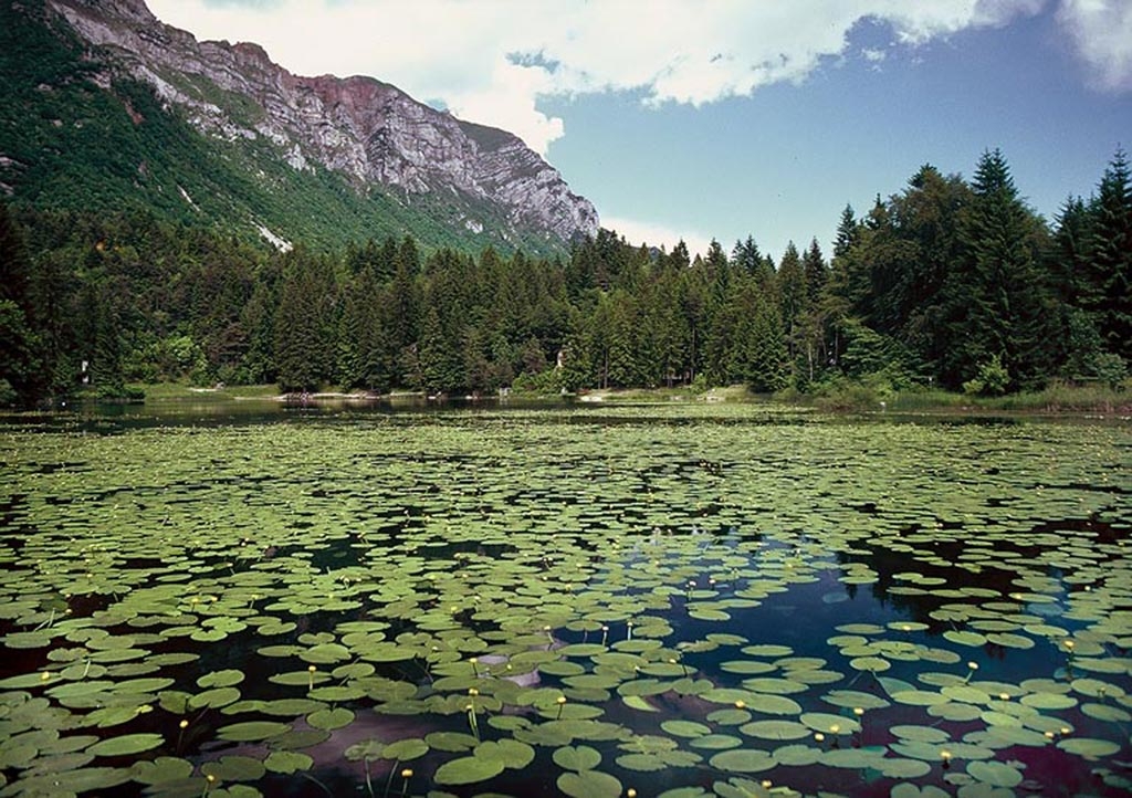 Immagine: Lago di Cei