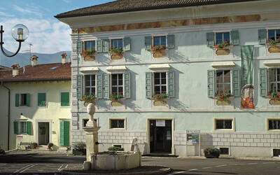 Immagine: Museo del Fossile