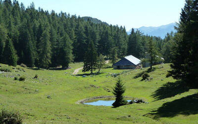 Immagine: Riserva Scanuppia