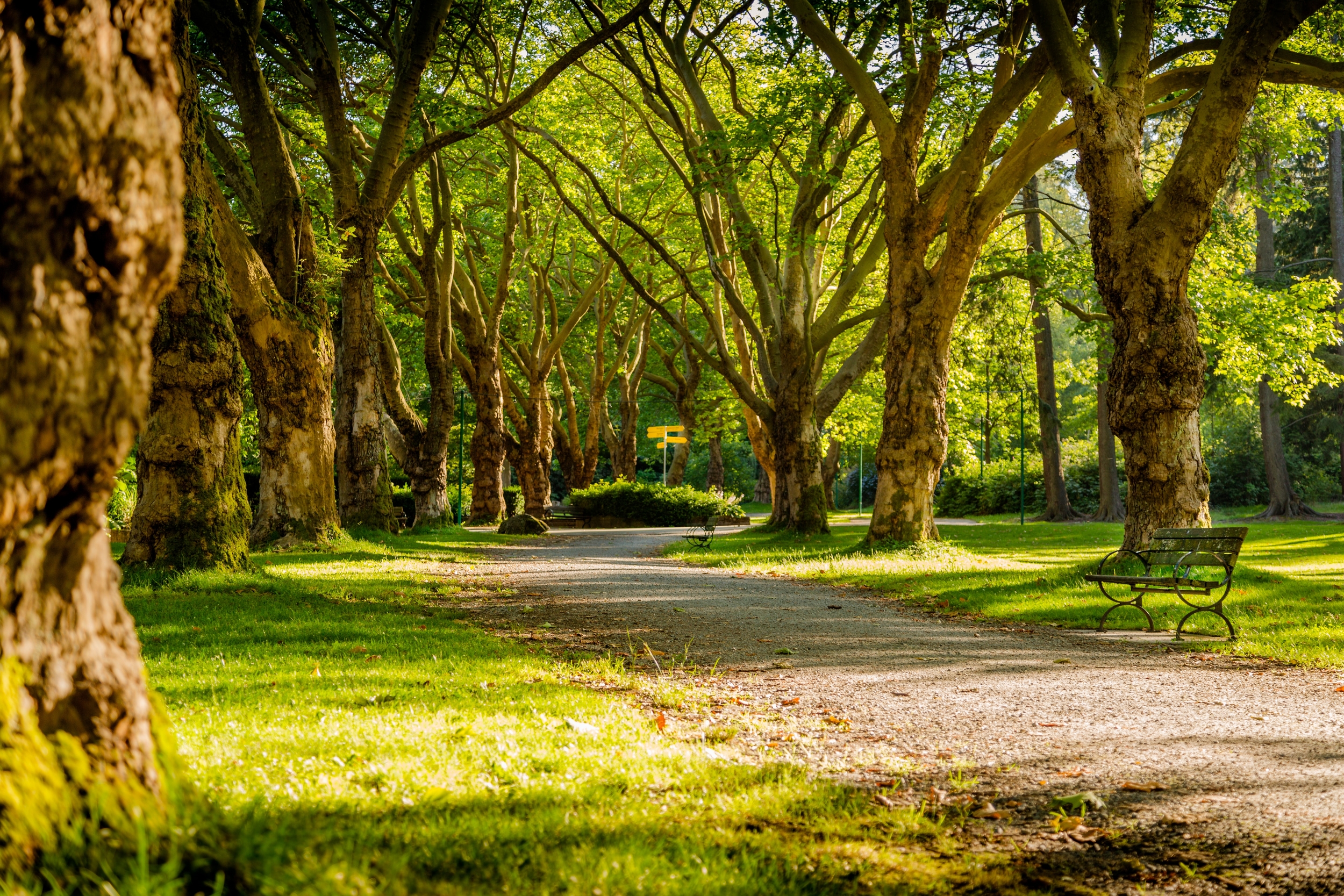 Immagine: Spazio verde