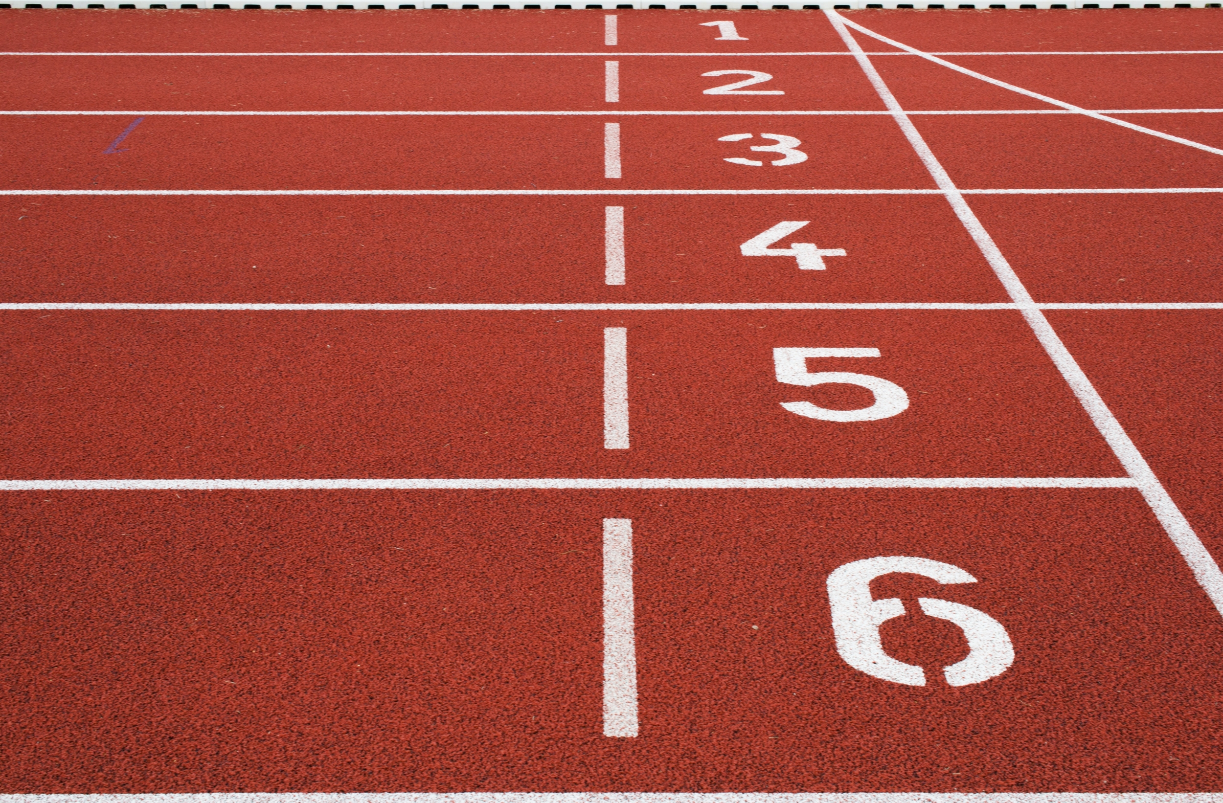 Immagine: Sport