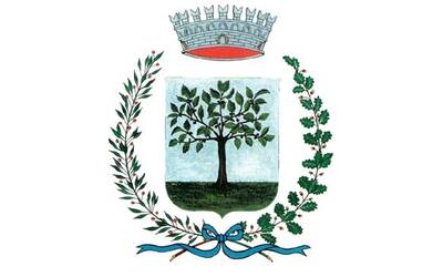 Immagine: Stemma Mori