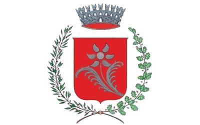 Immagine: Stemma Nomi