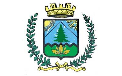 Immagine: Stemma Ronzo-Chienis