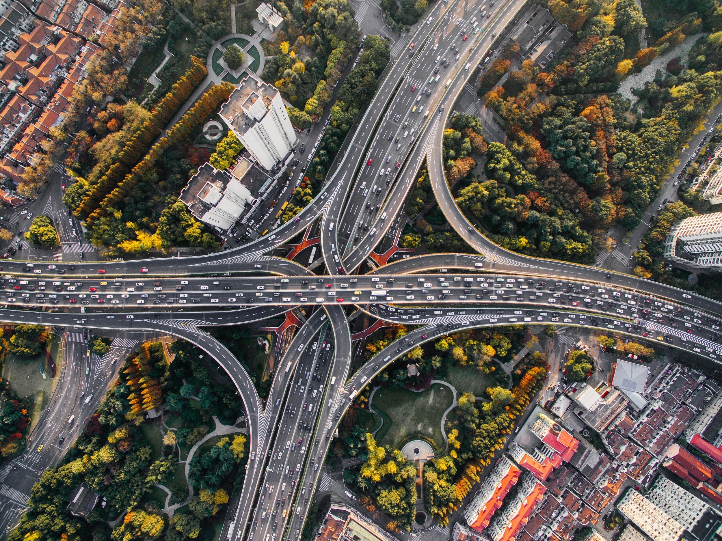 Immagine: Traffico