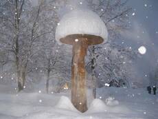 Immagine decorativa