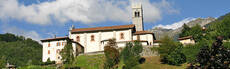 Immagine decorativa