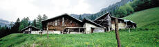 Immagine decorativa