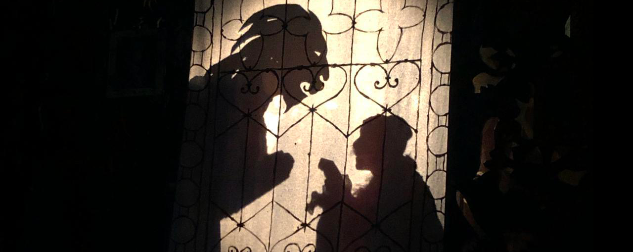 Immagine: Banner gattostivali