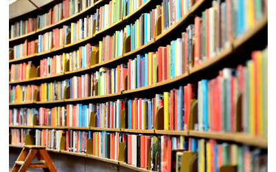 Immagine: Biblioteca