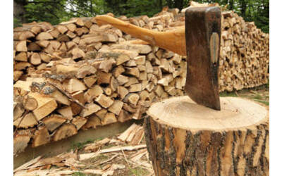 Immagine: Legna da ardere large