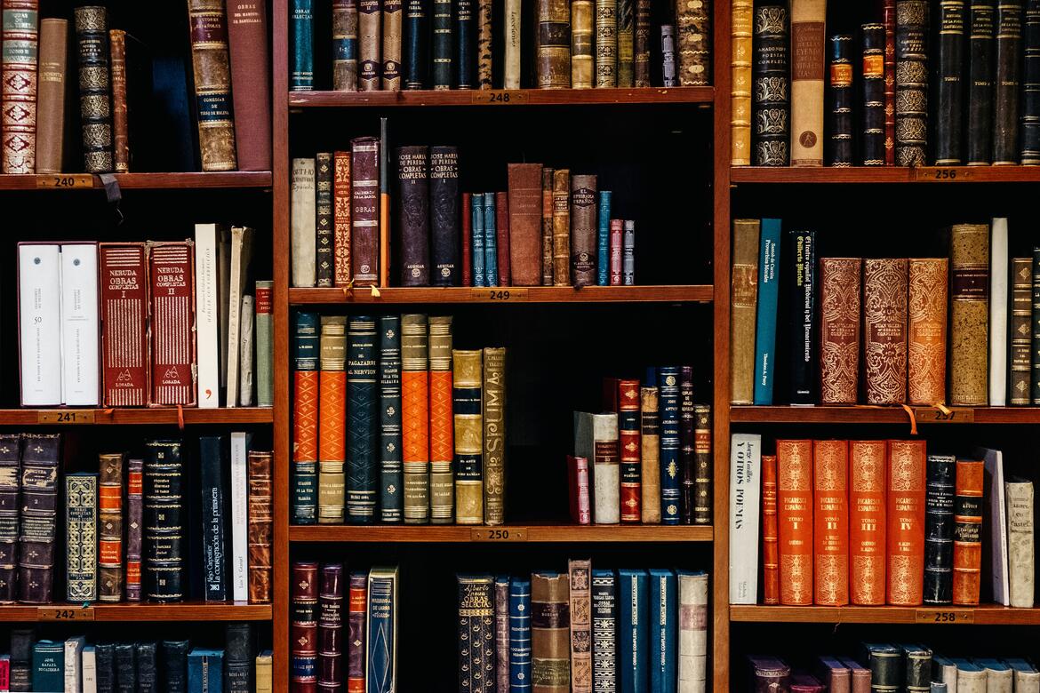 Immagine: Libri