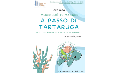 Immagine: MAGGIO - A passo di tartaruga