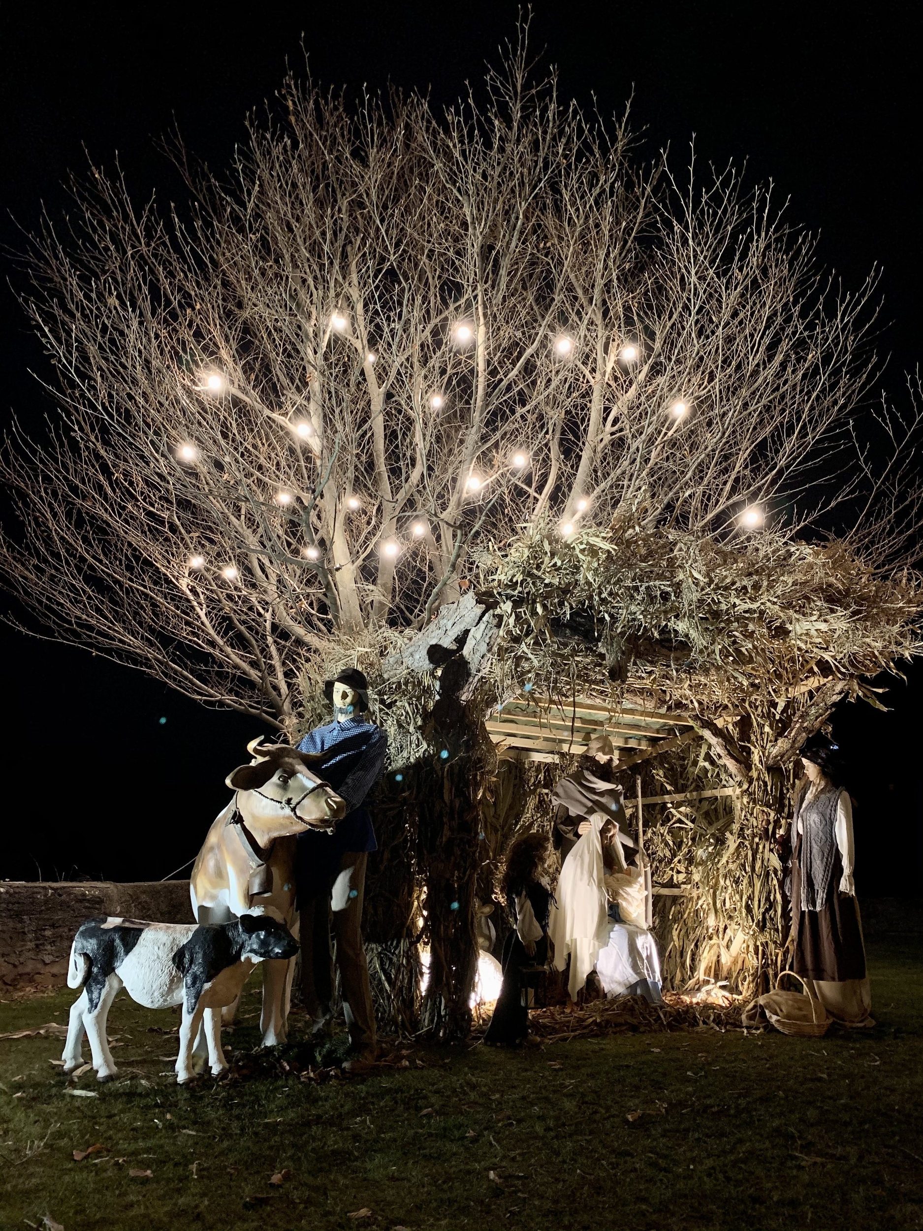 Immagine: Presepe 2020 capanna min