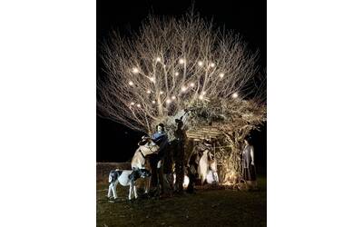 Immagine: Presepe 2020 capanna min