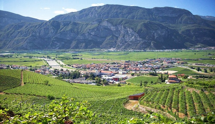 Immagine: San michele all adige dall alto