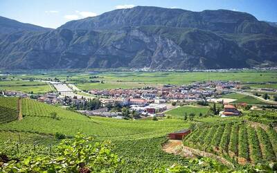 Immagine: San michele all adige dall alto