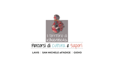 Immagine: Schermata 2021 07 04 alle 18