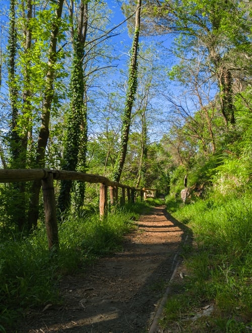 Immagine: Sentiero montagna