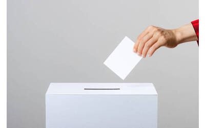 Immagine: votazione generale