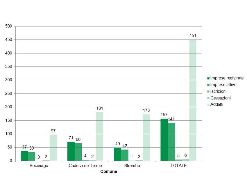 10. Statistiche sul tessuto economico nel territorio dei Comuni di Bocenago, Caderzone Terme e Strembo