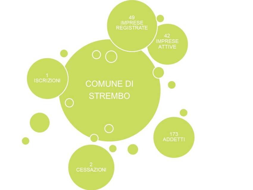 3. Imprese nel territorio del Comune di Strembo