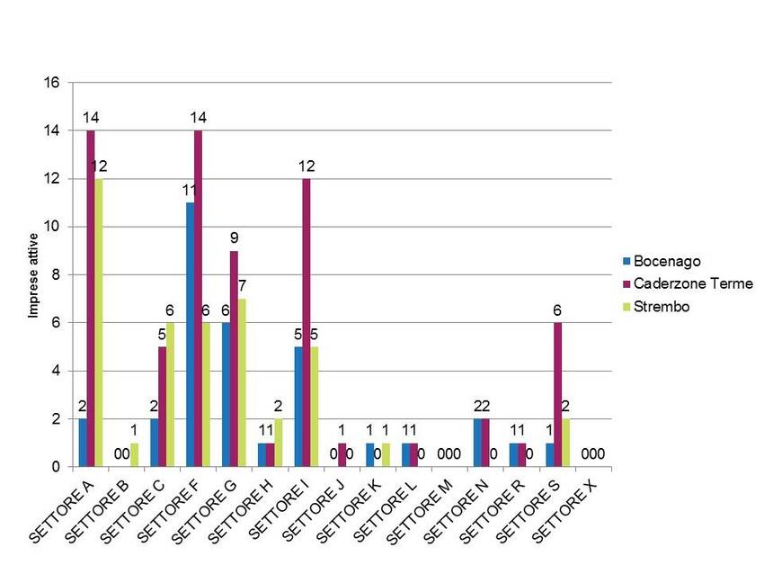 6. Imprese attive nel territorio dei Comuni di Bocenago, Caderzone Terme e Strembo