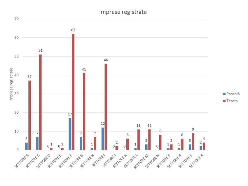 4. Andamento delle imprese nel territorio dei Comuni di Panchià e Tesero