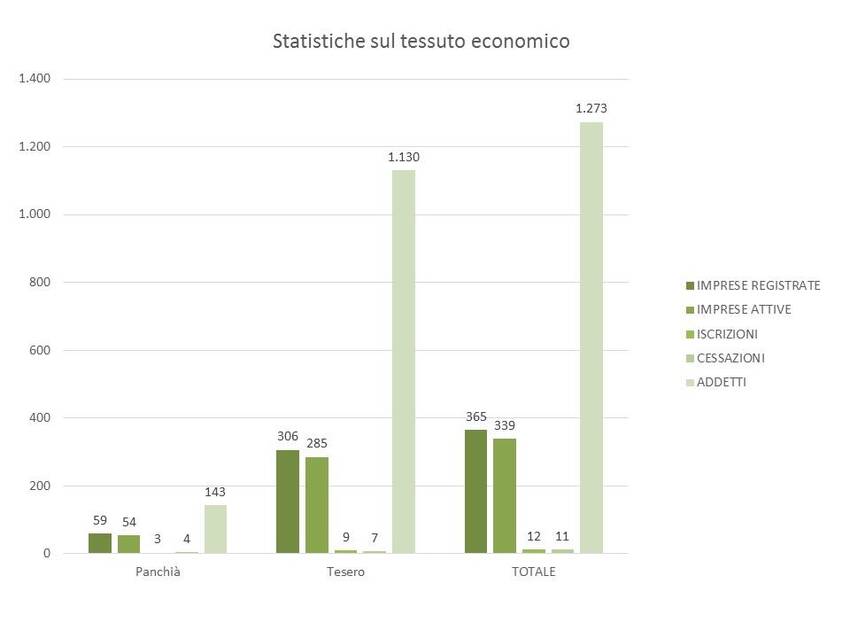 9. Statistiche sul tessuto economico nel territorio dei Comuni di Panchià e Tesero