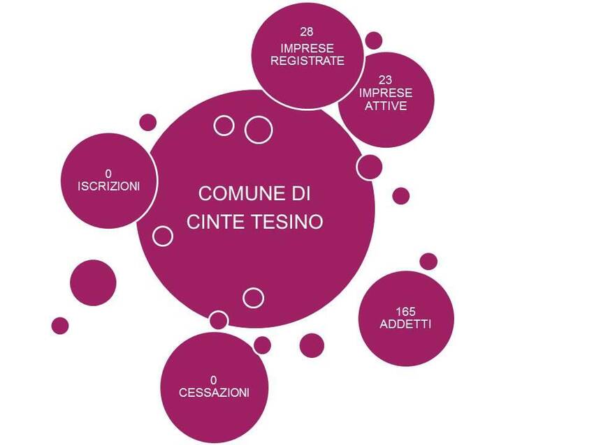 2. Imprese nel territorio del Comune di Cinte Tesino