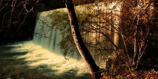 Immagine decorativa per il contenuto Torrente Grigno