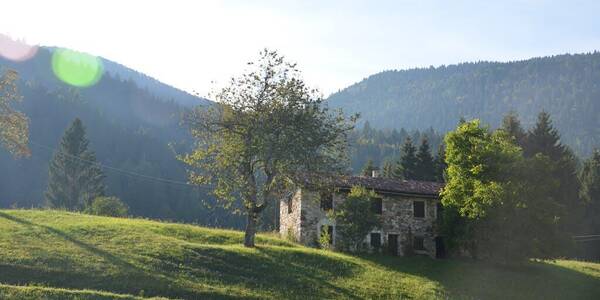 Immagine decorativa per il contenuto Monte Mezza