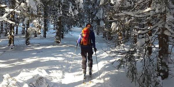 Immagine decorativa per il contenuto Percorsi di scialpinismo