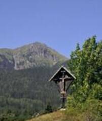 Immagine decorativa