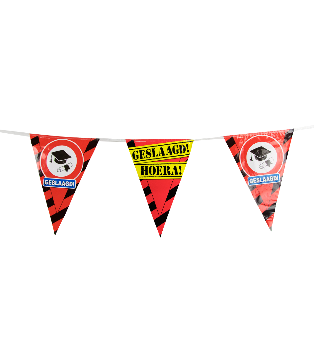 Party vlaggenlijn Geslaagd 10 meter