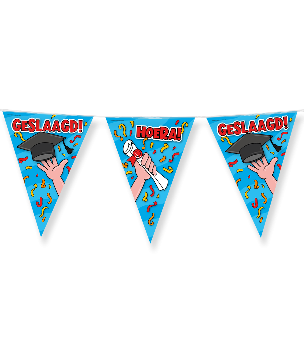 Vlaggenlijn geslaagd school 10 meter