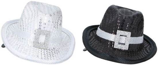 Haarclip met hoed zwart of zilver