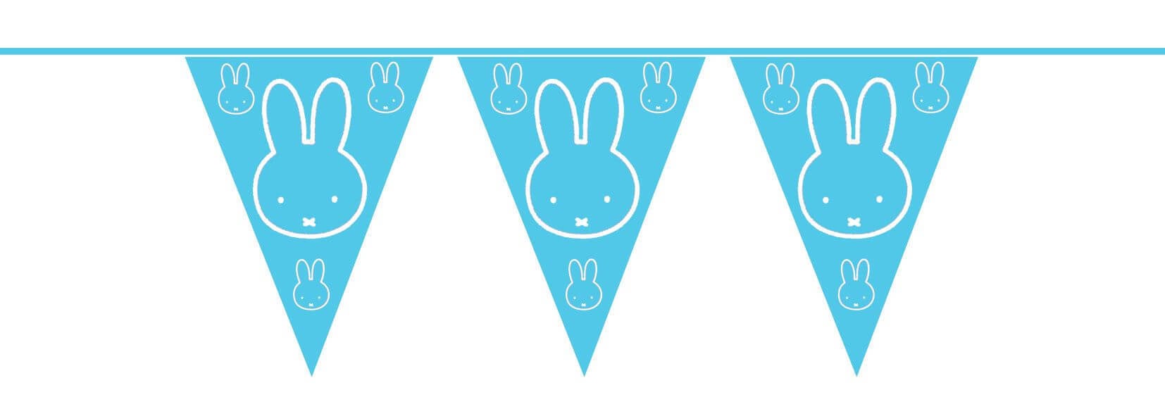 Vlaggenlijn Nijntje baby blauw 10 meter