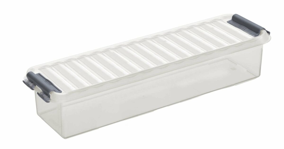 Sunware Sunware Q-Line Storage Box (L X W X H: 80 X 50 X 38 Cm, Transparent Plastic, Handle