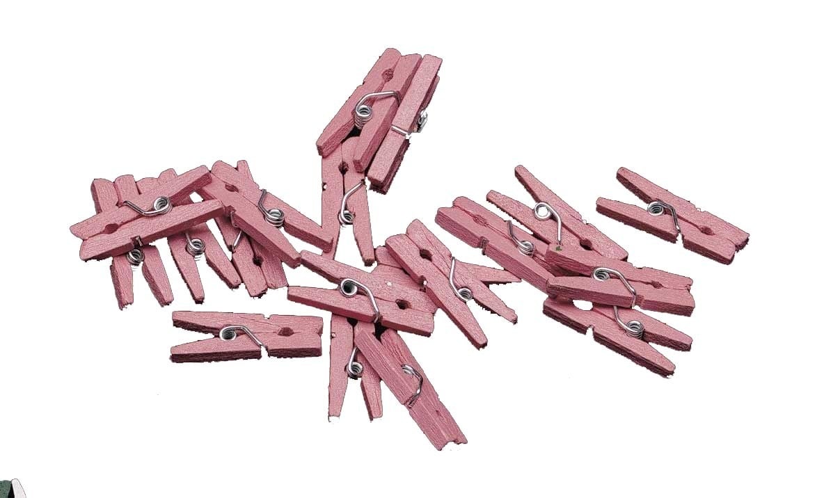 Coppens Mini Knijpertjes Roze coppens kopen in de aanbieding