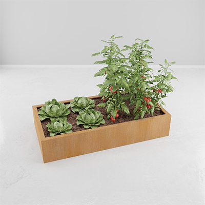 carré de potager module rectangle en corten