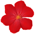 31571761.png?1527805682