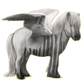Poney pégase Shetland Alezan Brûlé