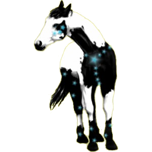 Pégase de selle Arabe Aubère