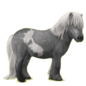 Poney pégase Shetland Alezan Crins Lavés