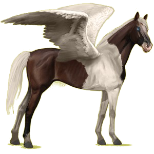 Pégase de selle Pur-Sang Anglais Bai Brûlé